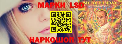 мдпв Кингисепп