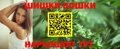 мдпв Кингисепп