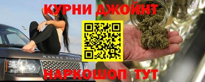 мдпв Кингисепп