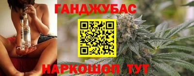 мдпв Кингисепп