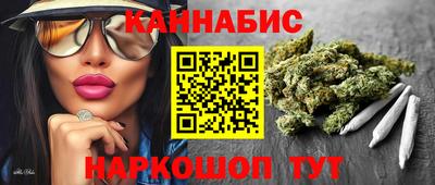 мдпв Кингисепп