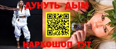 мдпв Кингисепп