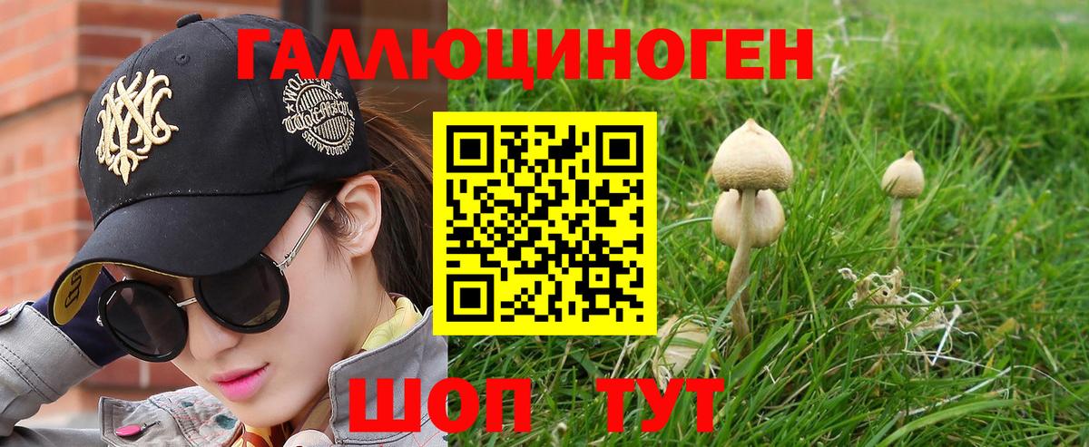 Конаково  Галлюциногенные грибы Cubensis  купить наркотики цена  Вход с VPN 